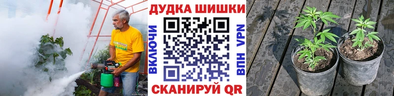 Канабис SATIVA & INDICA  Калач 
